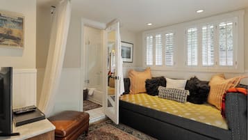 Smart TV, fireplace, DVD player, books