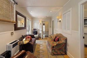 TV connectée, cheminée, lecteur de DVD, livres