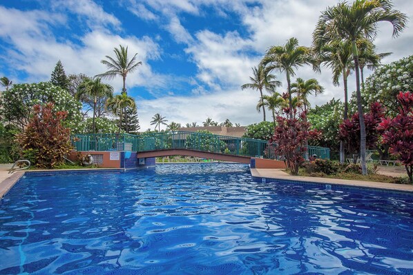 Piscine extérieure, piscine chauffée