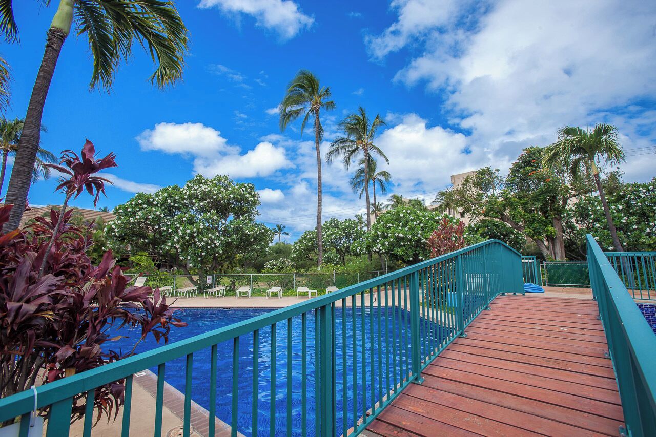 Une terrasse en bois mène à une piscine dont la rambarde est bleue, le tout étant entouré de palmiers et de plantes en fleurs, sous un ciel dégagé.