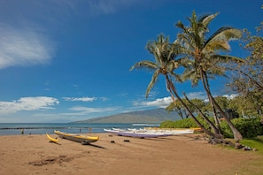Plage à proximité, chaise longue, serviettes de plage