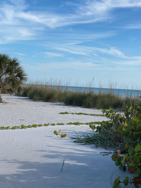 A beach with sand, sparse vegetation, and a clear sky.
