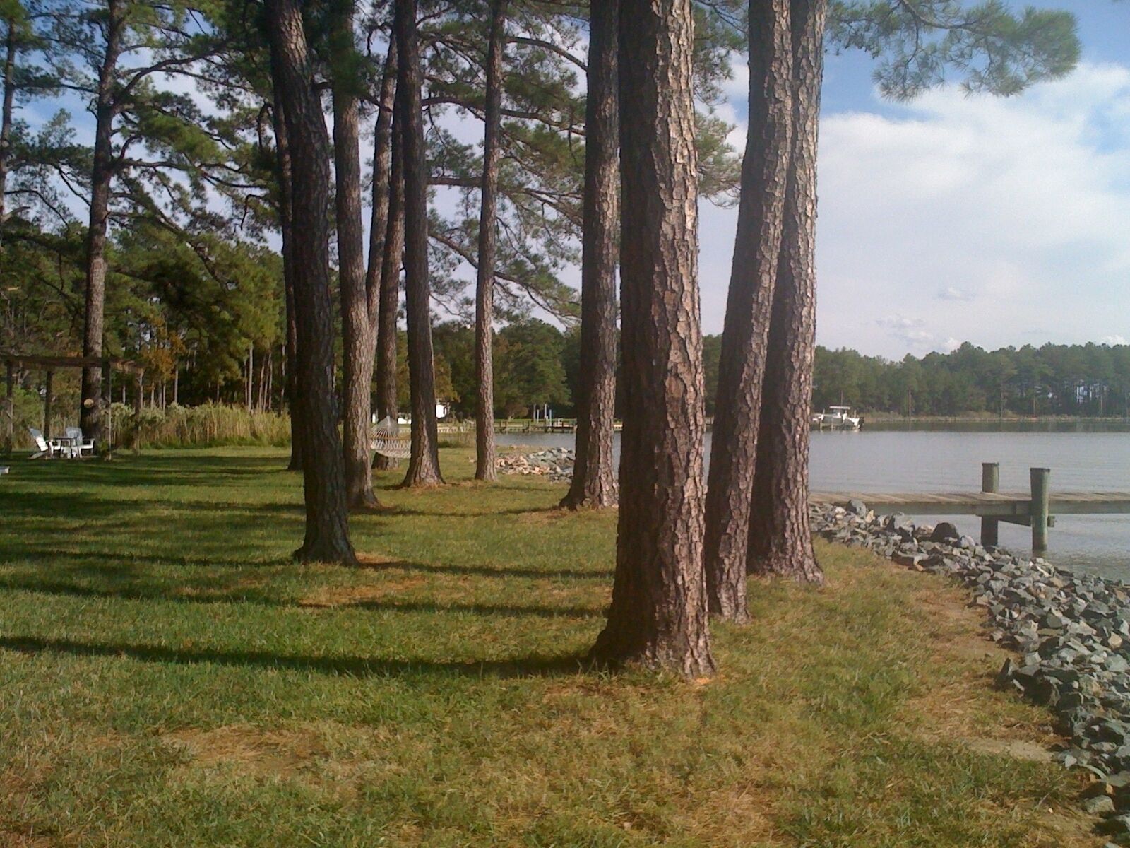 the waterfront