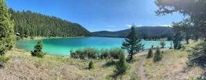 Miscellaneous - Double D - 30 Miles to YNP ~  Walk to the water ~ Wifi (Island Park)