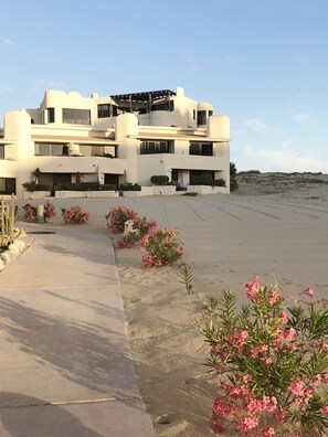 Exterior - ALL NEW remodeled condo! Ocean Front on Beach 2 Bd 2 Ba Upper Level (Cabo San Lucas)