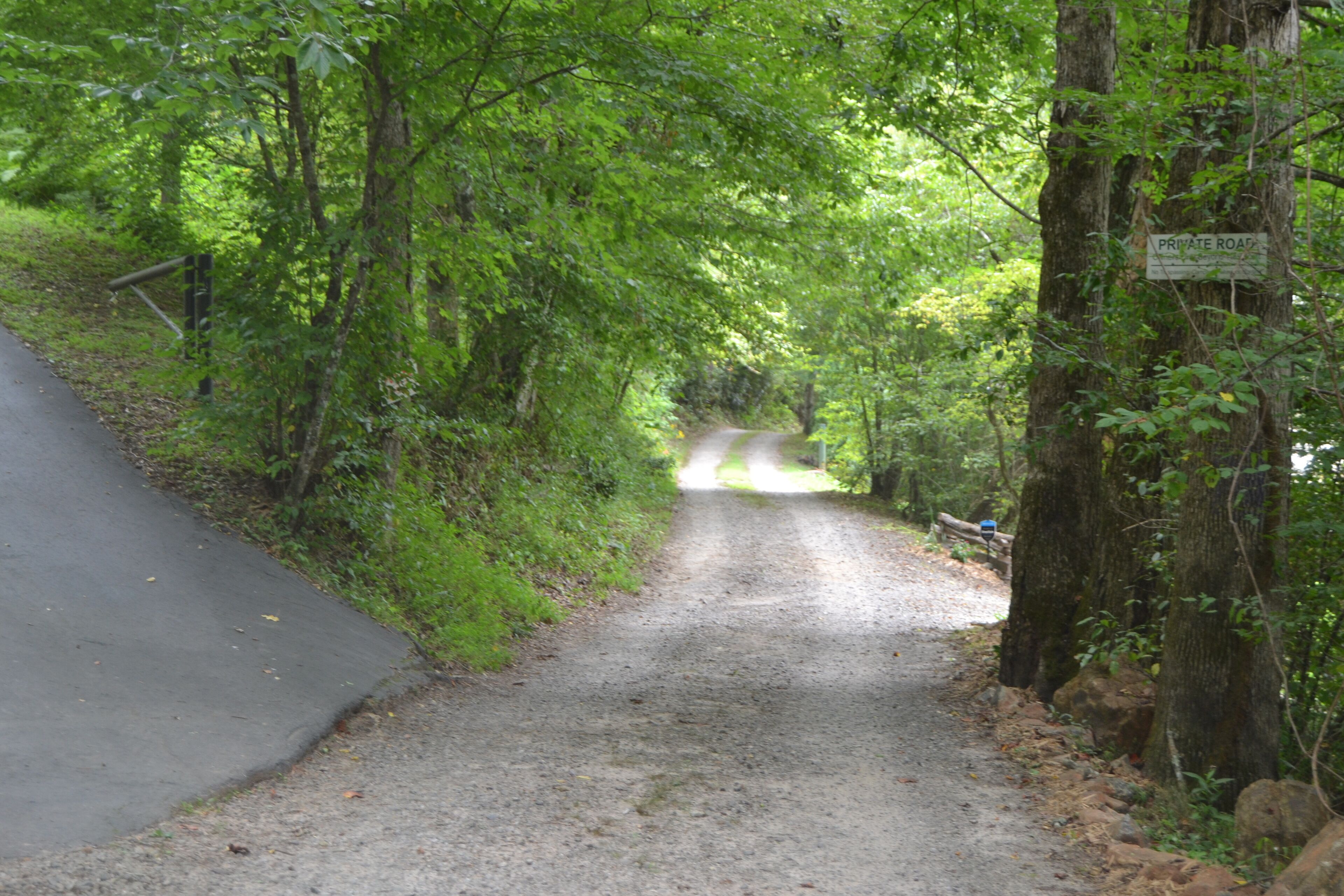 A narrow, unpaved road surrounded by dense greenery and trees.