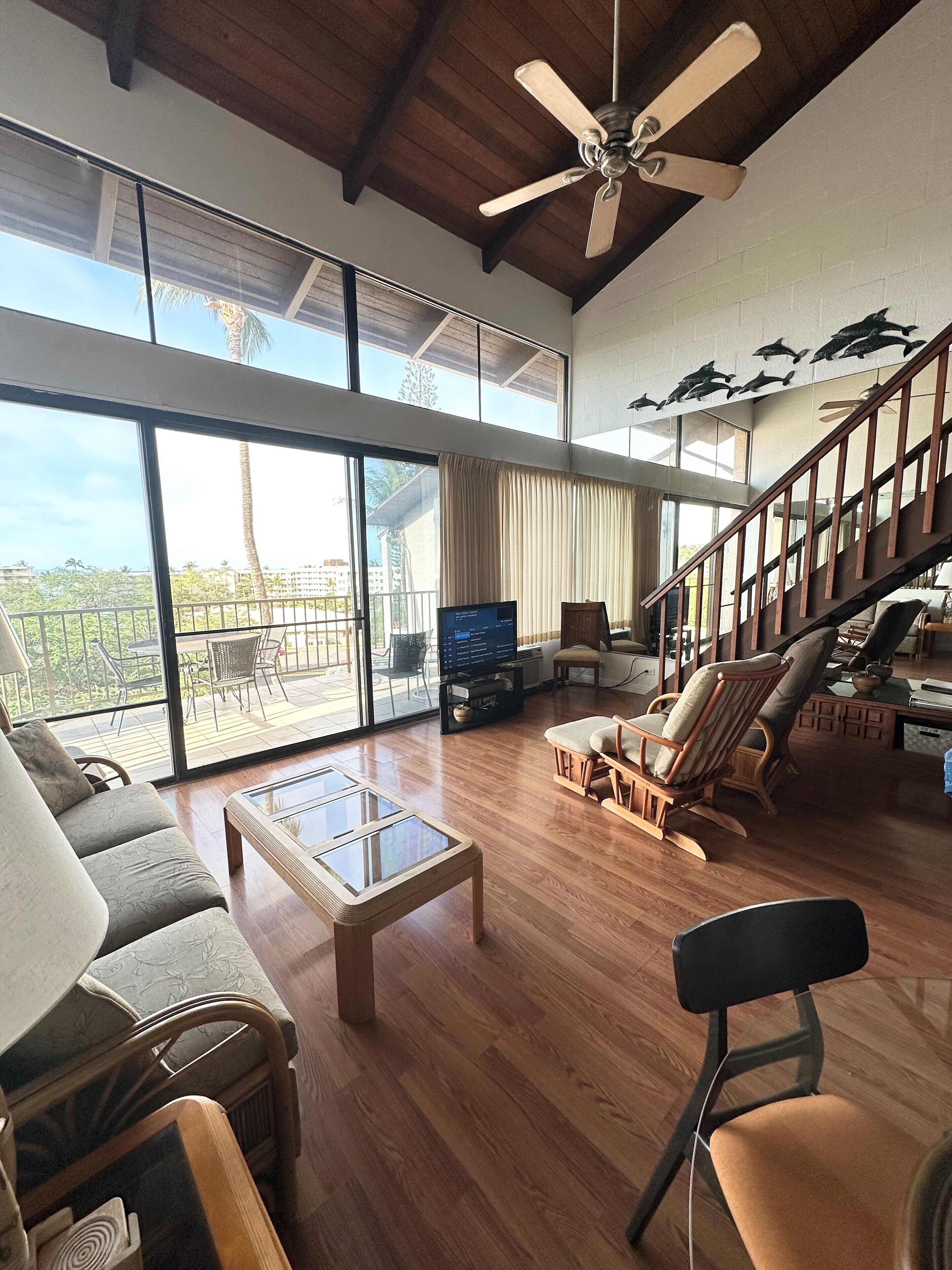 TV, DVD player, books, video library