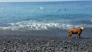 靠近海滩、沙滩椅、沙滩毛巾