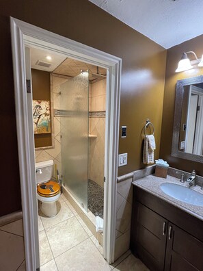 Combined shower/bathtub, hair dryer, towels, soap