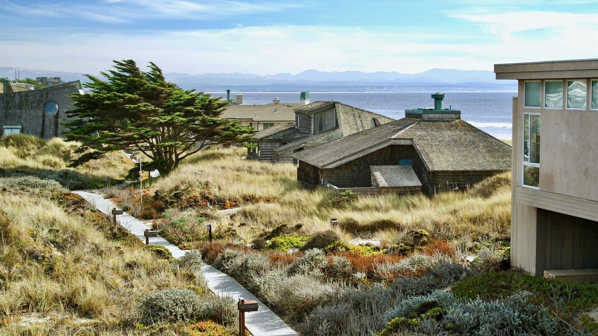 A coastal property with a pathway leading to a wooden cabin, surrounded by native vegetation and overlooking the sea.