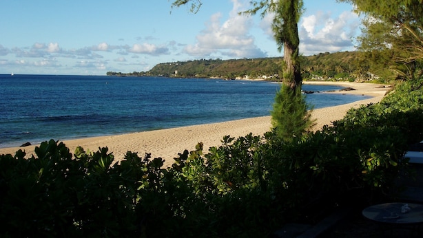 Une plage offrant une vue dégagée sur l’océan, un rivage sablonneux et quelques zones verdoyantes au premier plan.