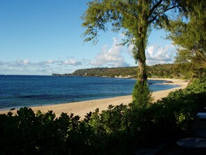 Une plage offrant une vue dégagée sur l’océan, un rivage sablonneux et quelques zones verdoyantes au premier plan.