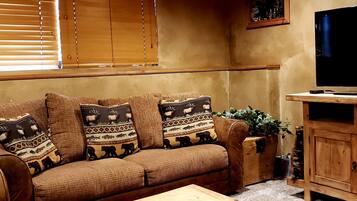 TV connectée, cheminée, lecteur de DVD, livres