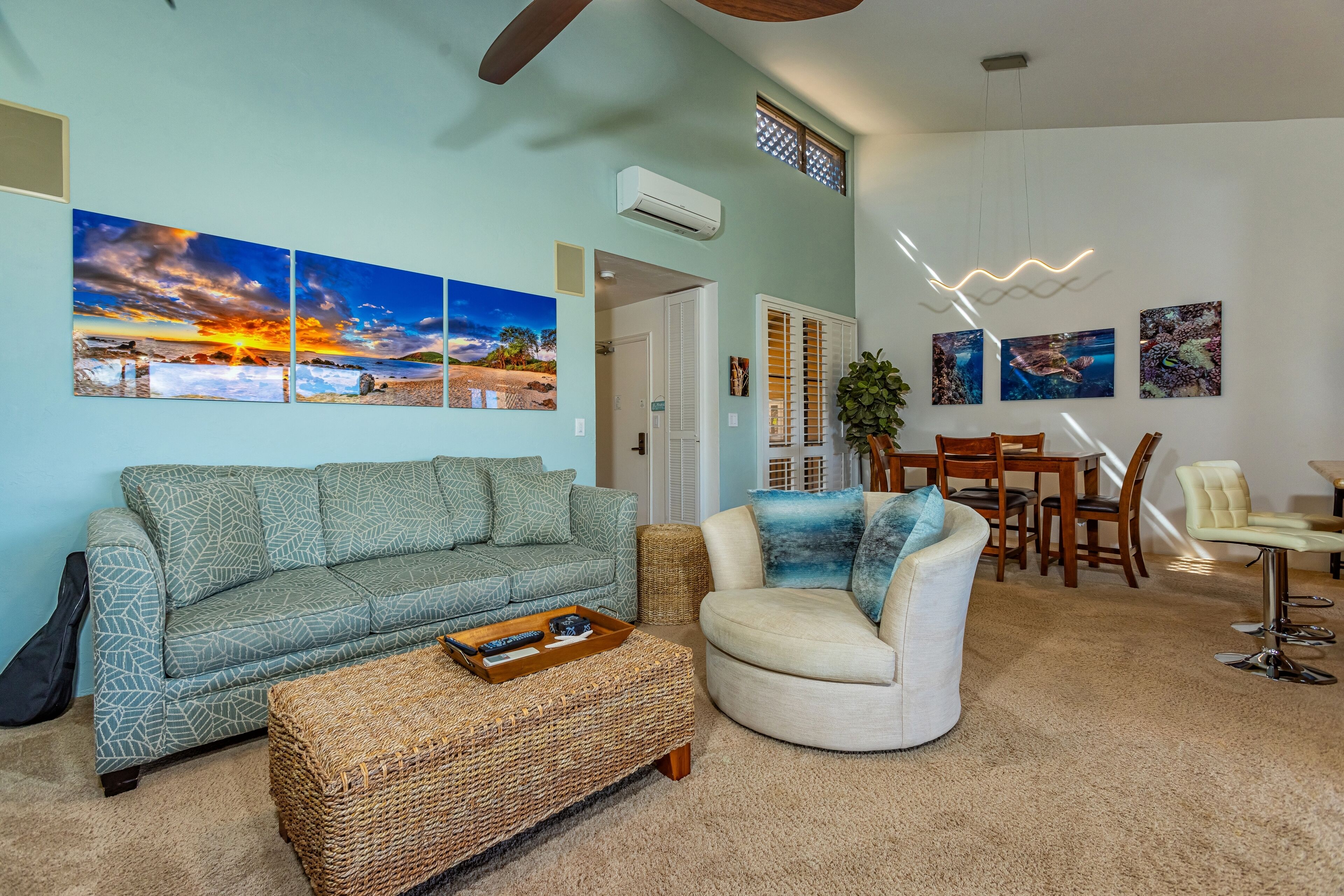 Smart TV, DVD player, video library