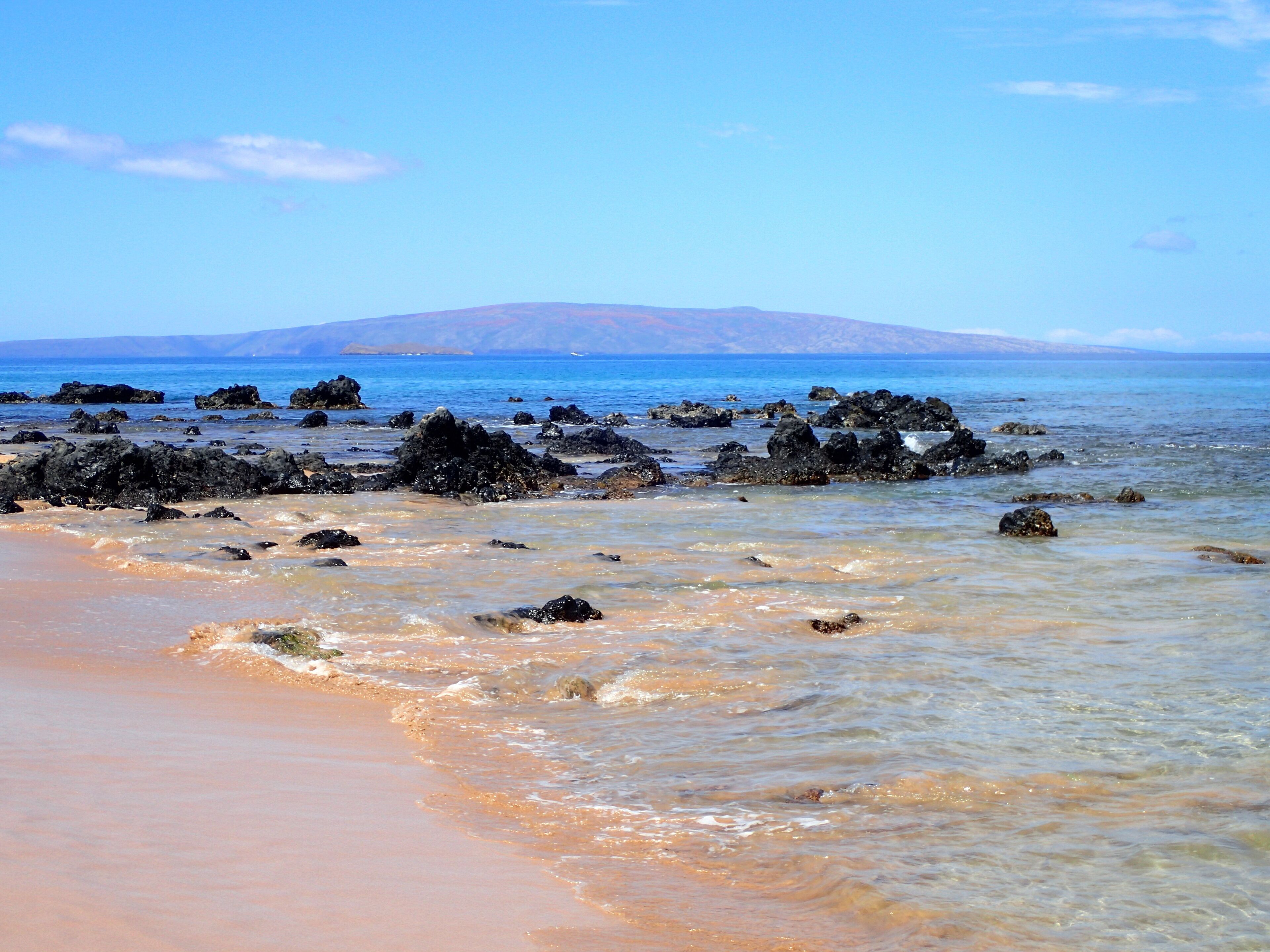 Sun loungers, beach towels