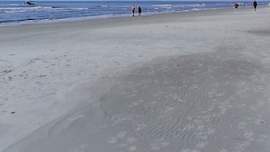 A wide sandy beach with a clear blue sky and visible contrails. - SOUTH FOREST BEACH. Coligny, pool. walk to beach. updated. sleep 8. 
SURF COURT (Hilton Head Island)