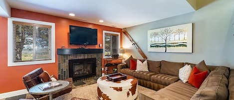 Télévision, cheminée, lecteur de DVD