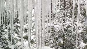 Lumipeitteinen terassi, jonka katosta roikkuu jääpuikkoja, ja jonka ympärillä on lumikuormaa kantavia puita.