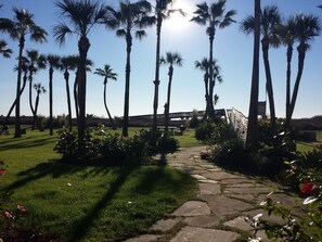 Property grounds -  1-br 2balcony Galvestonian condo directly on beach! No highway! Close to Strand (Galveston)