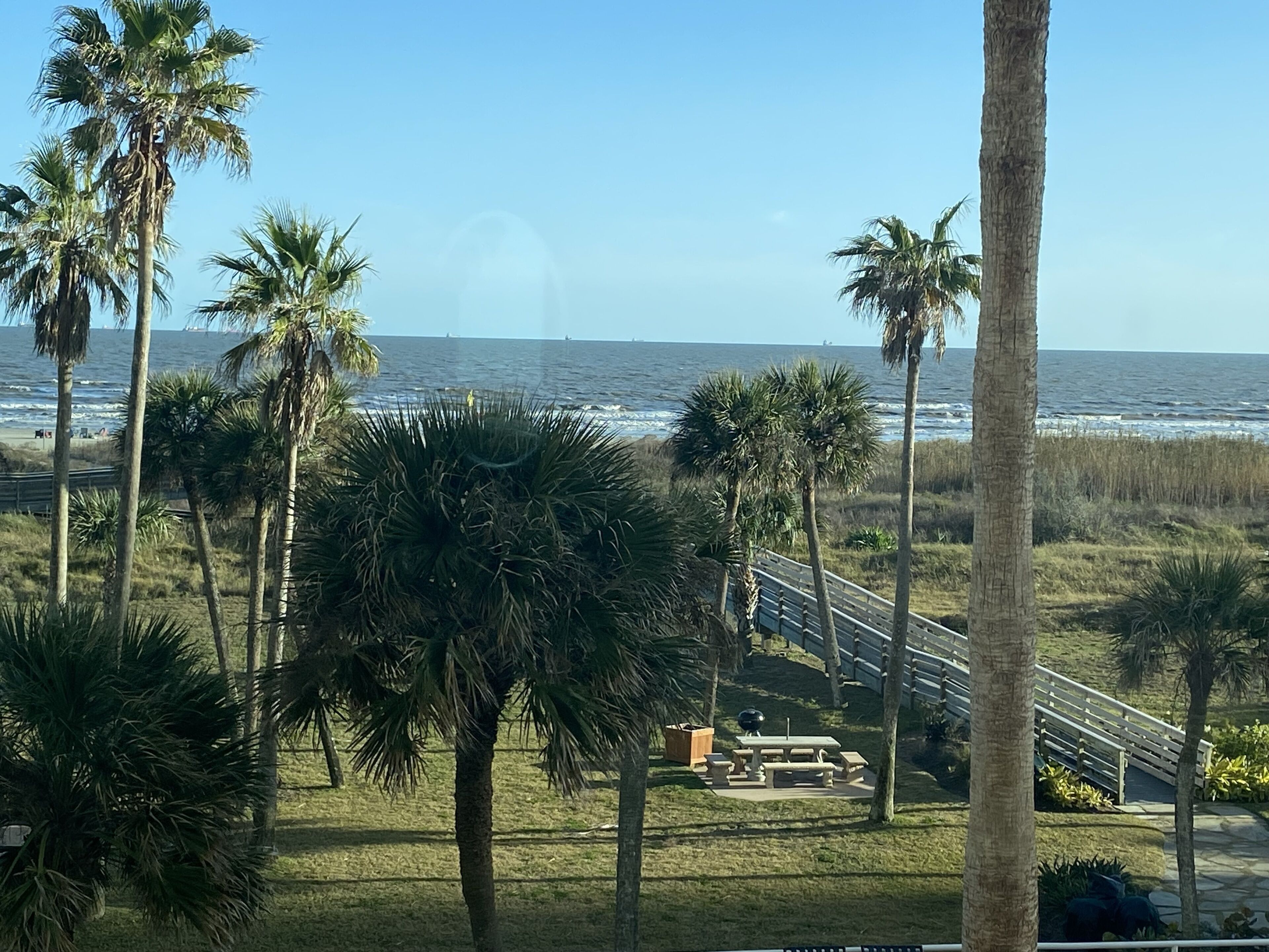 Vista d'una platja amb palmeres i una escala de fusta que condueix a una zona de pícnic.