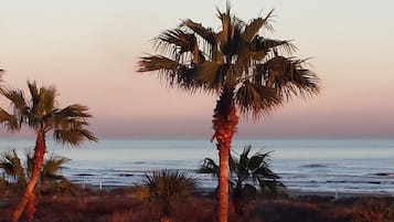 Ubicación a pie de playa, tumbonas y toallas de playa