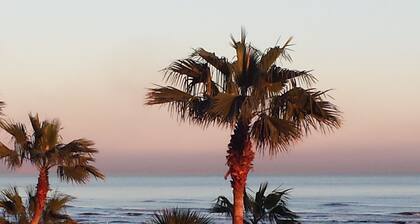 GALVESTONIAN Tropical Island Getaway # 107 - Gire a la derecha en Galveston East Beac