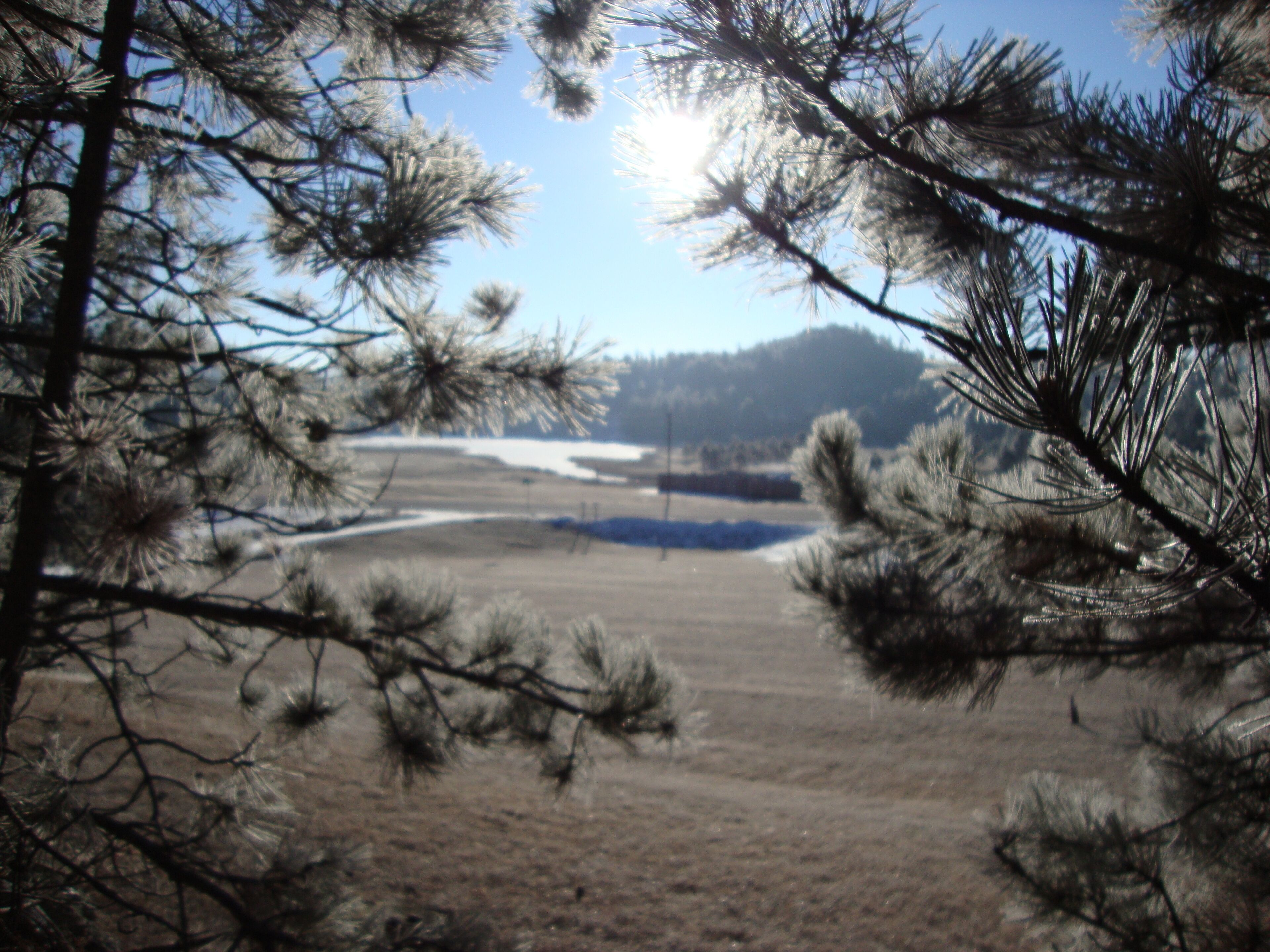 Original Log Cabin At Entrance To Custer State Park Overlooking