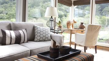 Smart TV, lareira, livros, aparelho de som