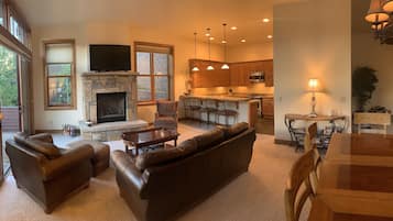 Télévision, cheminée, lecteur de DVD