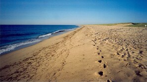 Rannalla, aurinkotuoleja