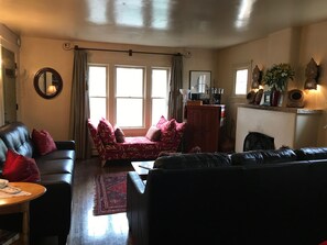 Smart TV, chimenea, reproductor de DVD y libros 