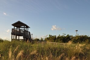 Property grounds - Pool/Patio Like No Other, Waterfront, 82 in TV, Split Layout for Privacy (Marco Island)