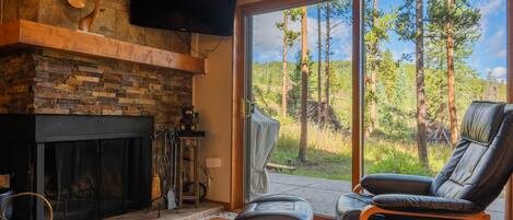 Smart TV, chimenea, reproductor de DVD y videoteca