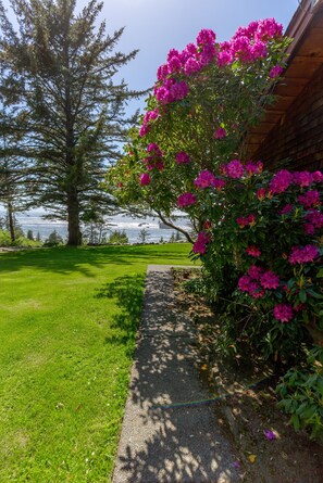 A pathway leading to a building with a view of a tree and a body of water.