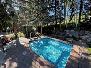 Pool - "Vantage Point/Lionshead"
Steps to Lifts, Dine, Shops, Hot Tubs, Slope Views! (Vail)