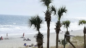 A beachside patio with tables and umbrellas, palm trees, and a view of the ocean. - A SLICE OF PARADISE! - Direct Oceanfront condo (Myrtle Beach)