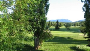 Golfkenttä, jossa on suuri puu etualalla ja vuoristo taustalla.