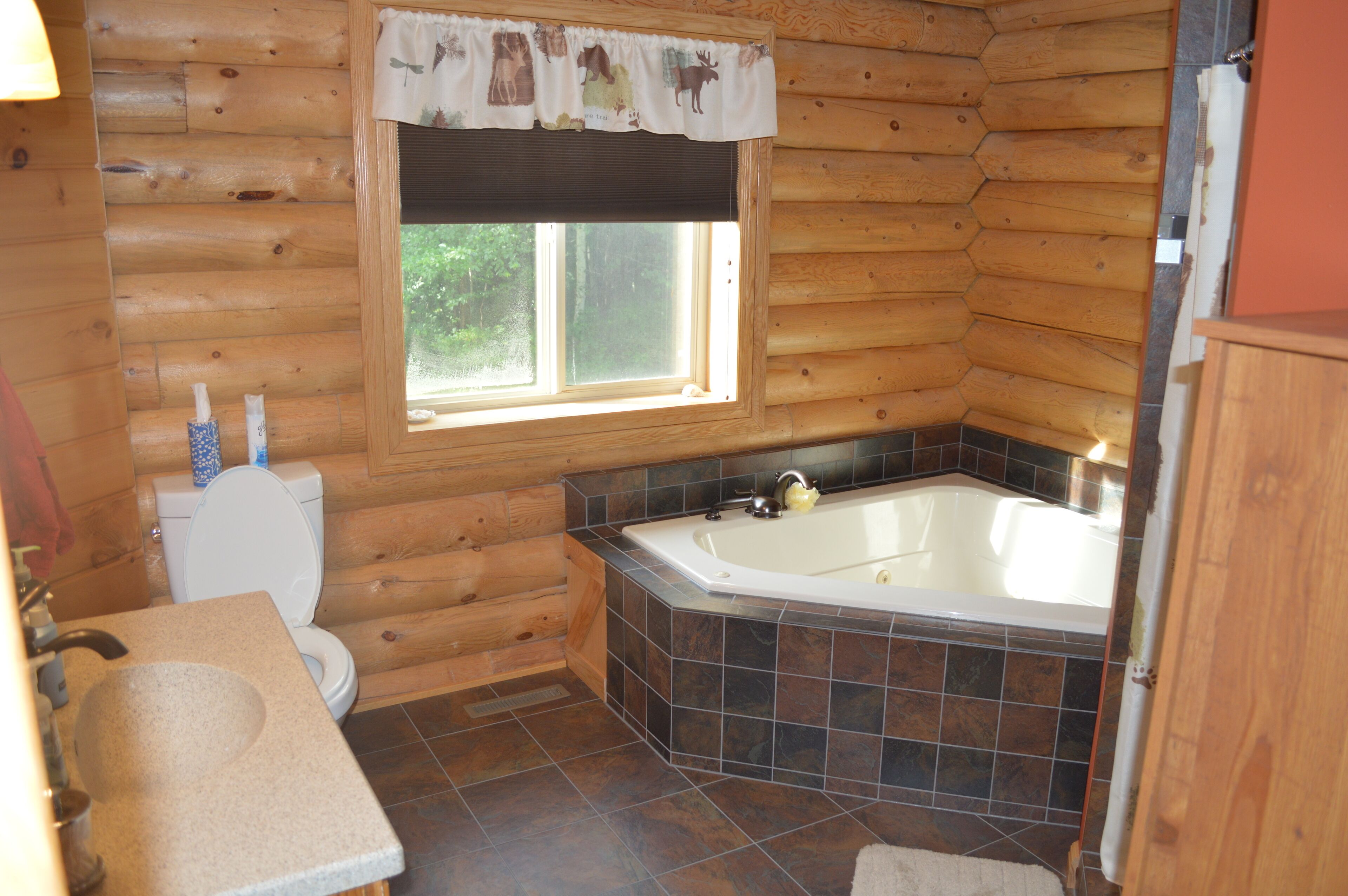 Shower, hair dryer, soap, toilet paper