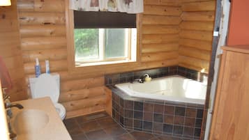 Shower, hair dryer, soap, toilet paper