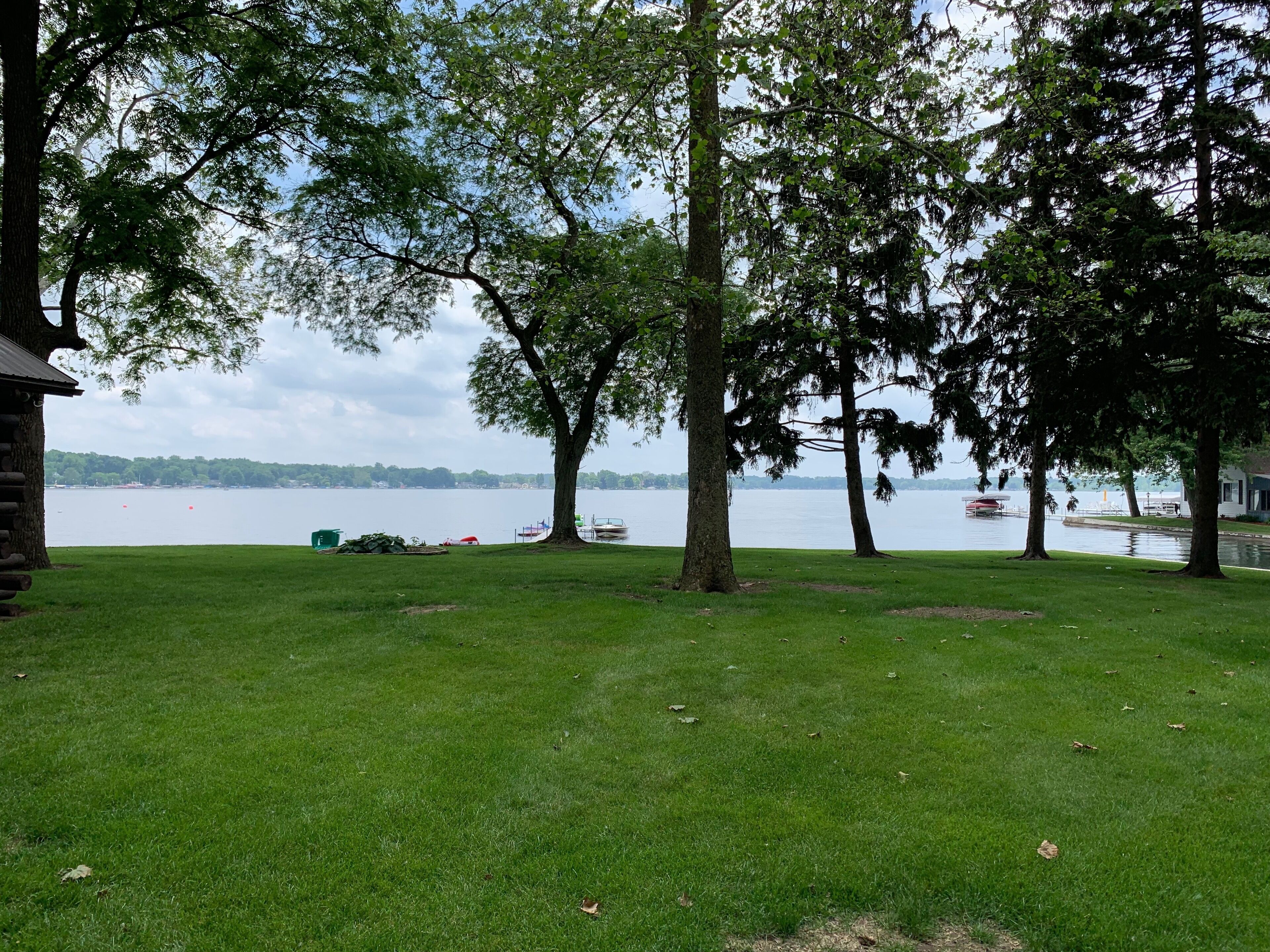 Une zone herbeuse avec des arbres et une vue sur un lac.