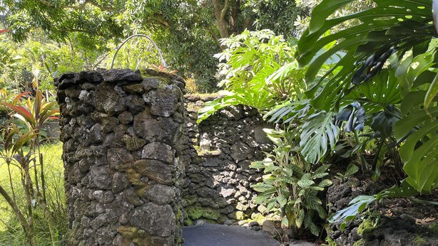 A stone pathway leading through a lush garden with various plants and a moss-covered stone structure. - Tropical Romance... Lush Gardens.... in Heavenly Hana, Maui (Hāna)