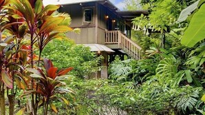 A house surrounded by dense tropical vegetation. - Tropical Romance... Lush Gardens.... in Heavenly Hana, Maui (Hāna)
