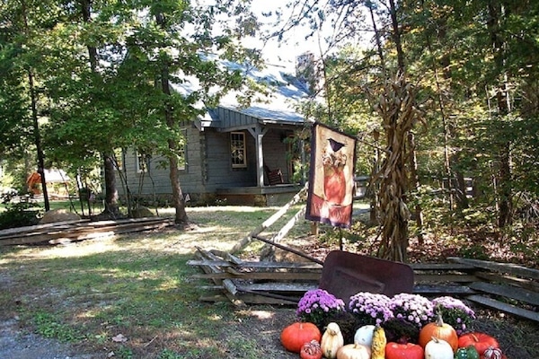 Autumn Harvest Time At Deer Ridge Cabin!
