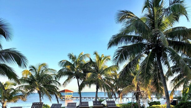 A pool area with lounge chairs and palm trees, overlooking a body of water. - Oceanfront First Floor 2 Bed/2 Bath - Free use of Kayaks (San Pedro)