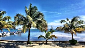 A beach with palm trees, a clear blue sky, and a calm sea. - Oceanfront First Floor 2 Bed/2 Bath - Free use of Kayaks (San Pedro)