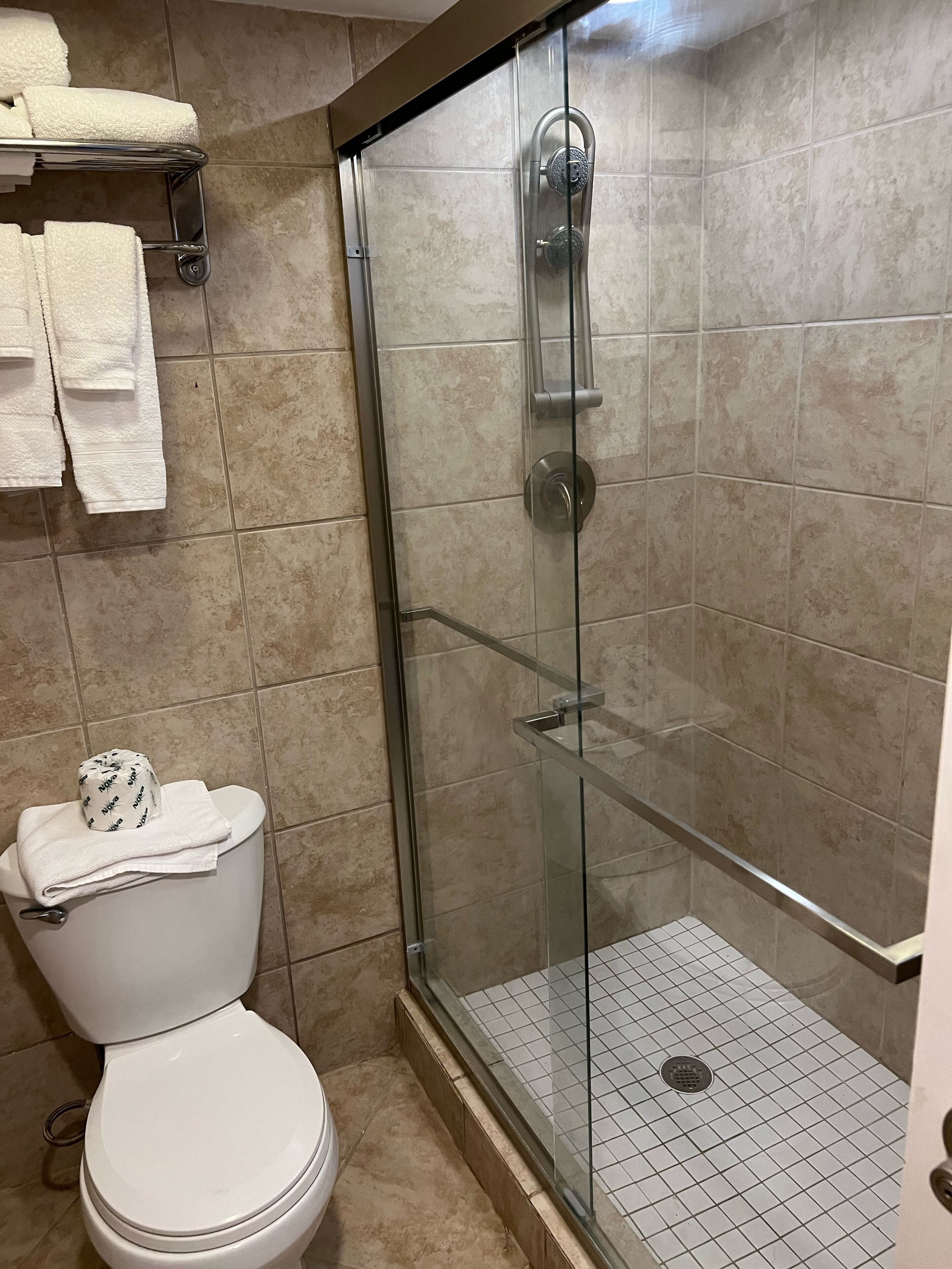 Un baño con ducha de vidrio, inodoro y estante con toallas.