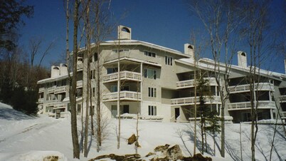 Spacious updated condo close to the slopes (Paradise condo)