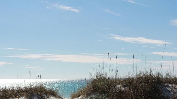 A beach with clear skies and sparse vegetation. - TOWNHOUSE IN BEAUTIFUL SUNNYSIDE BEACH (Panama City Beach)