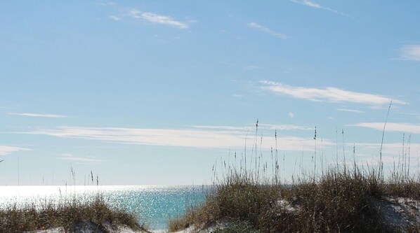On the beach - TOWNHOUSE IN BEAUTIFUL SUNNYSIDE BEACH (Panama City Beach)
