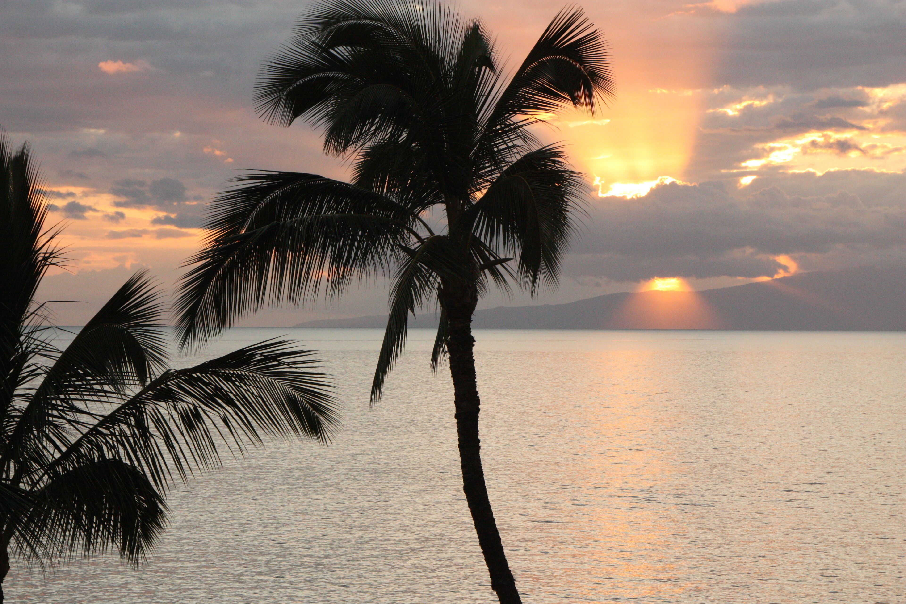 On the beach, sun loungers, beach towels